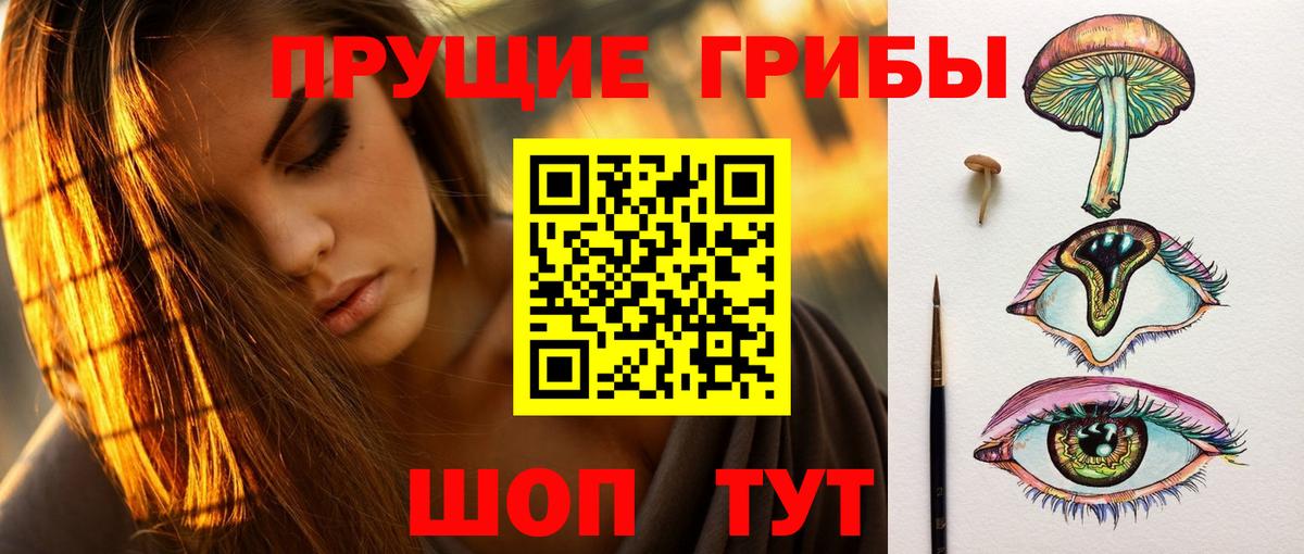 Галлюциногенные грибы прущие грибы  Вход с VPN  Альметьевск  Псилоцибиновые грибы Psilocybine cubensis 